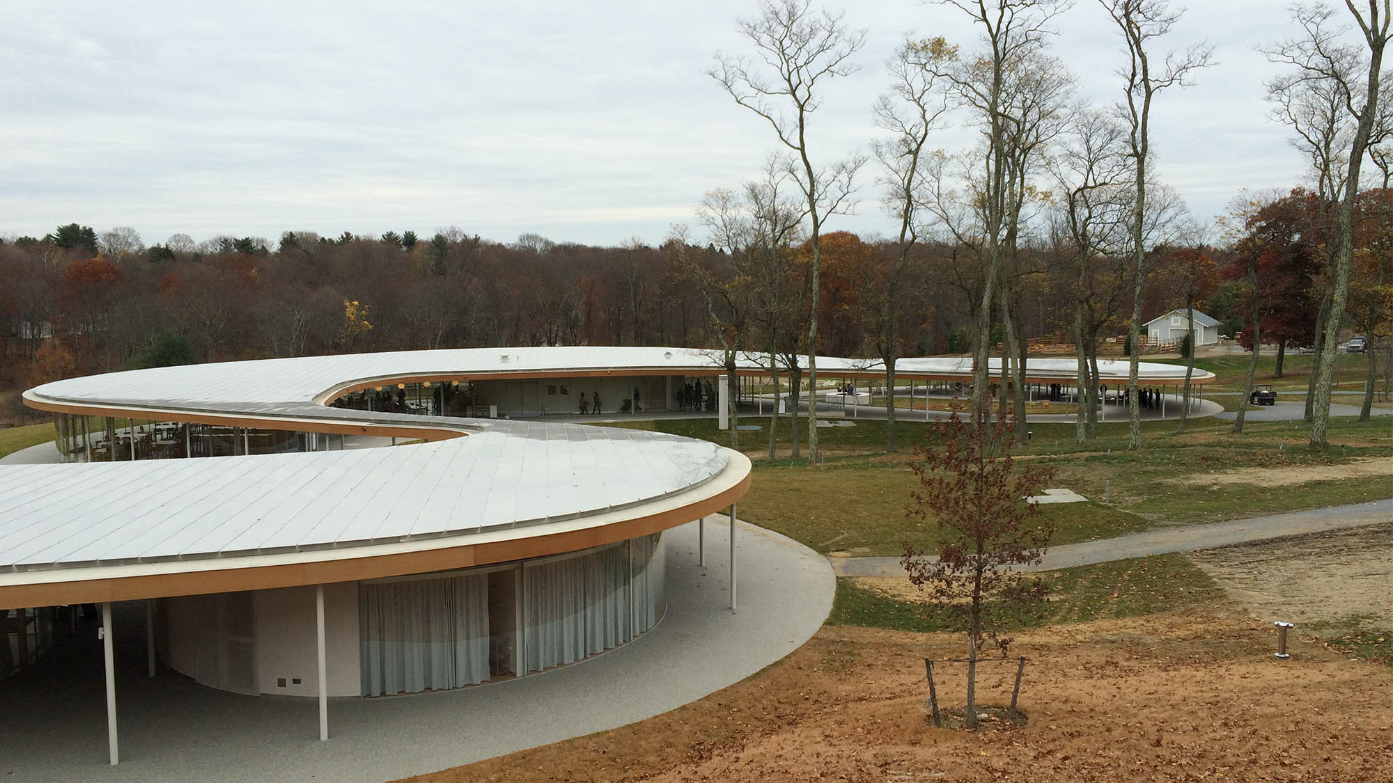 White curvy modern building with glass walls and winter tree to the right