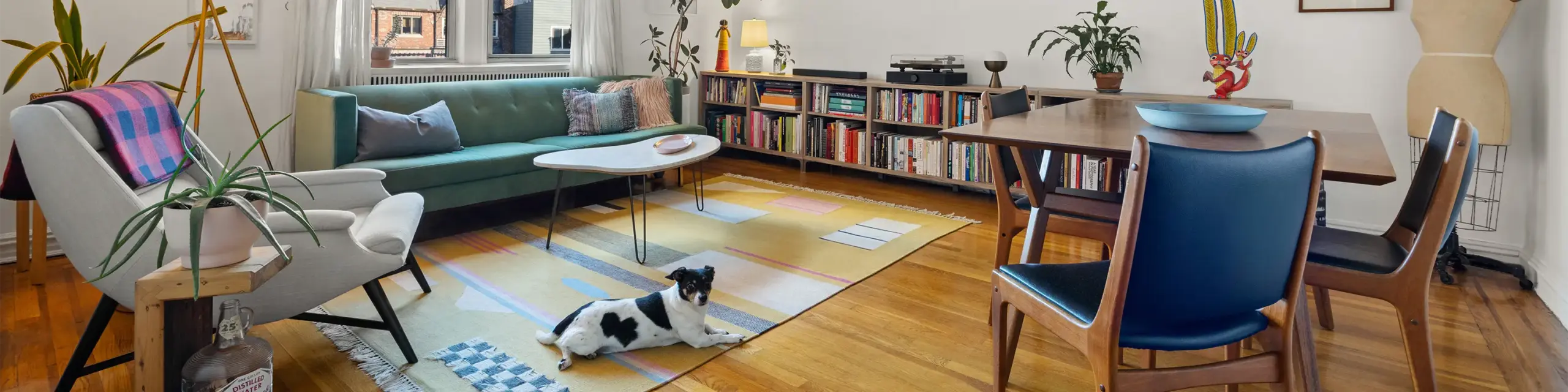 Dog laying on living room floor in front of coffee table and couch