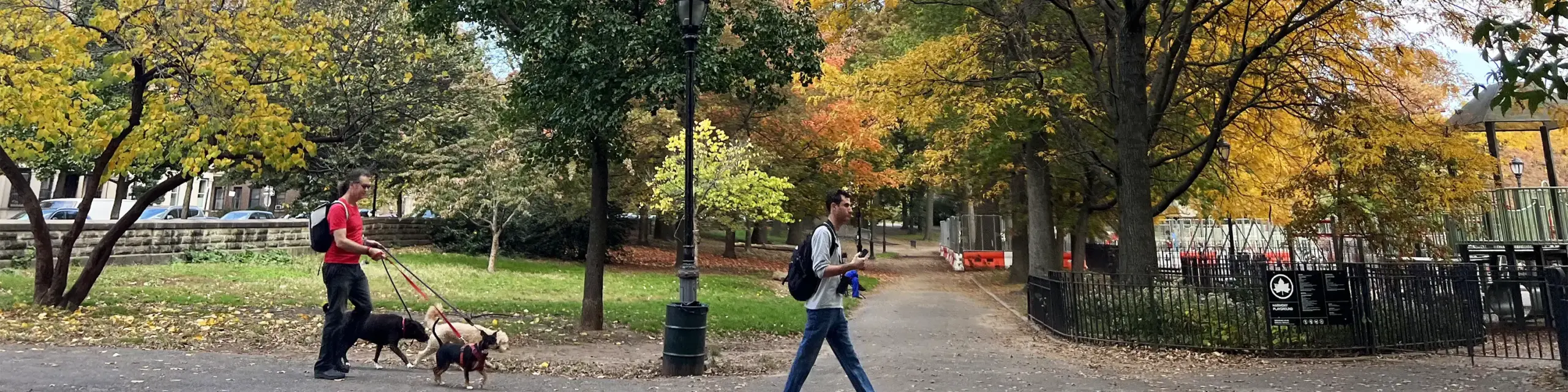 Person with two dogs and another person walking on park path with autumn trees in background