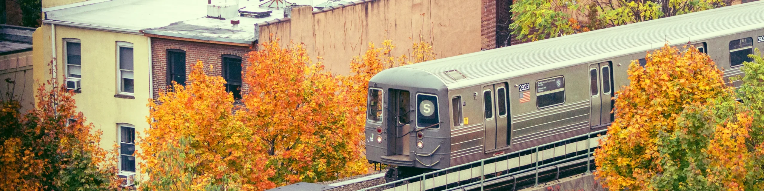 NYC S Train driving through orange trees