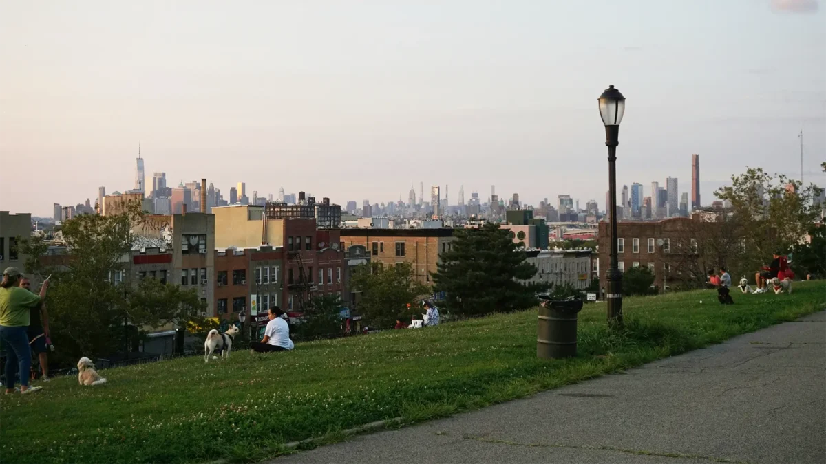 People sitting in grassy urban park with skyline in background