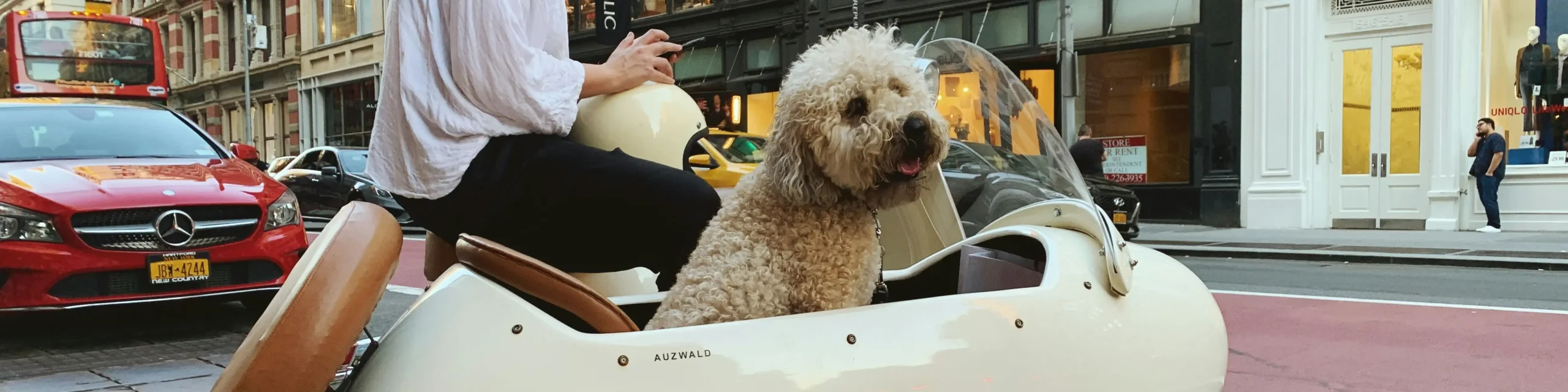 Dog in sidecar on NYC street