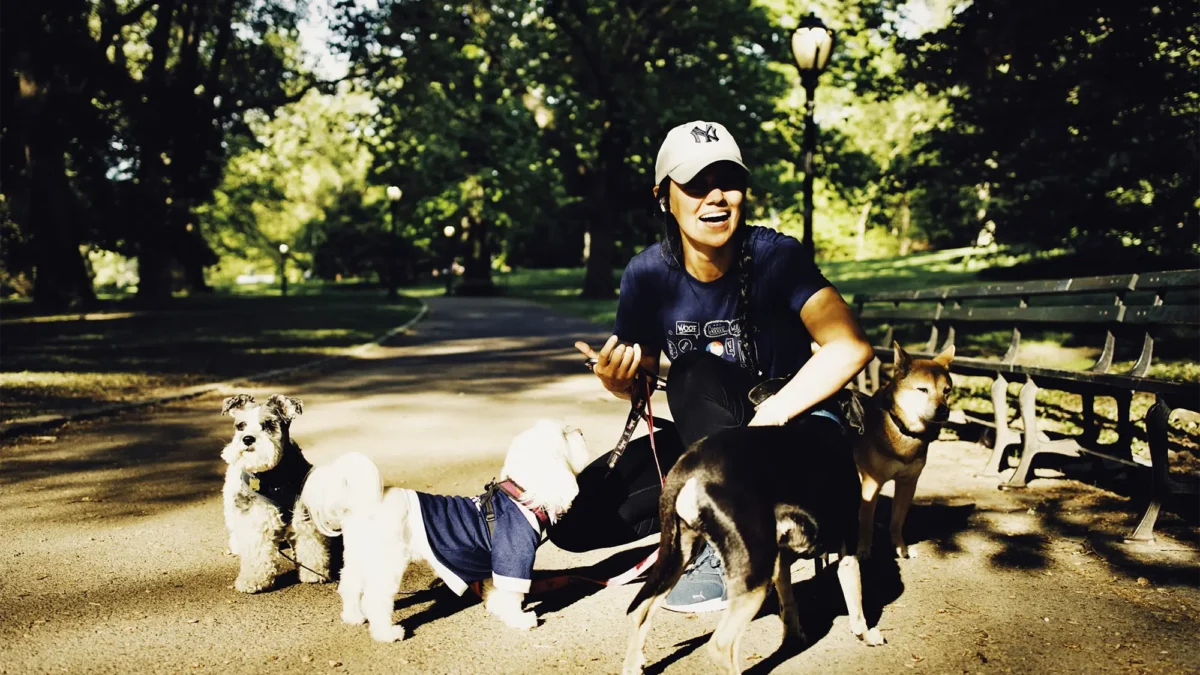 Woman crouched with dog pack in NYC park